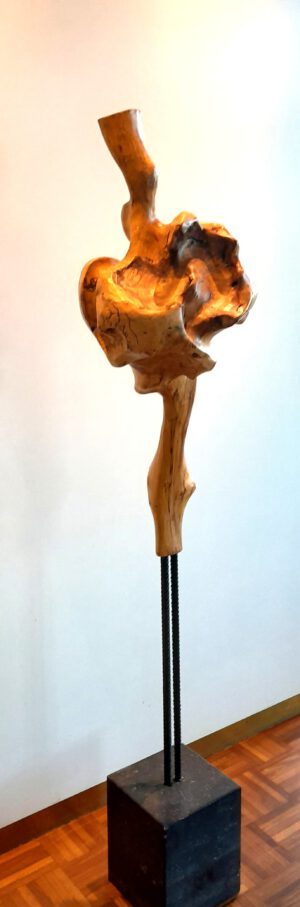 Warrelknoest