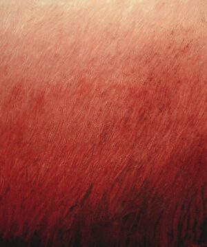 Field in red
