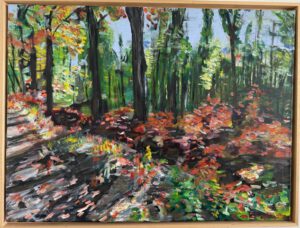Herfst in Chaamse bos